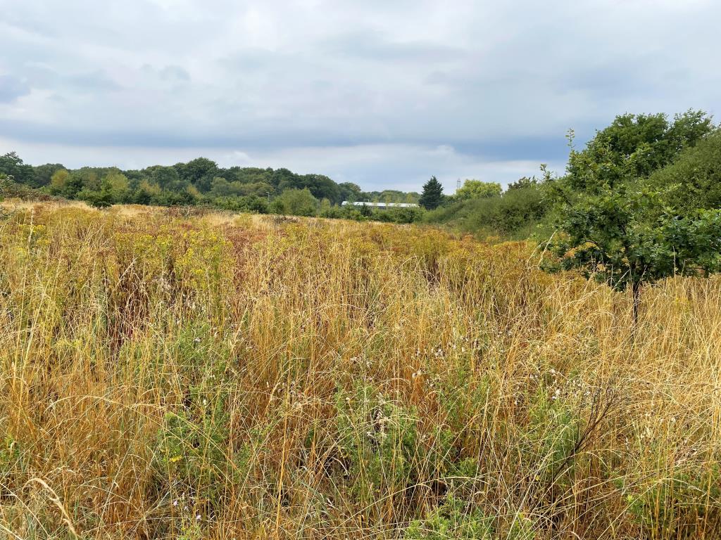 Lot: 101 - JUST UNDER 4.5 ACRES OF LAND IN STRATEGIC LOCATION -